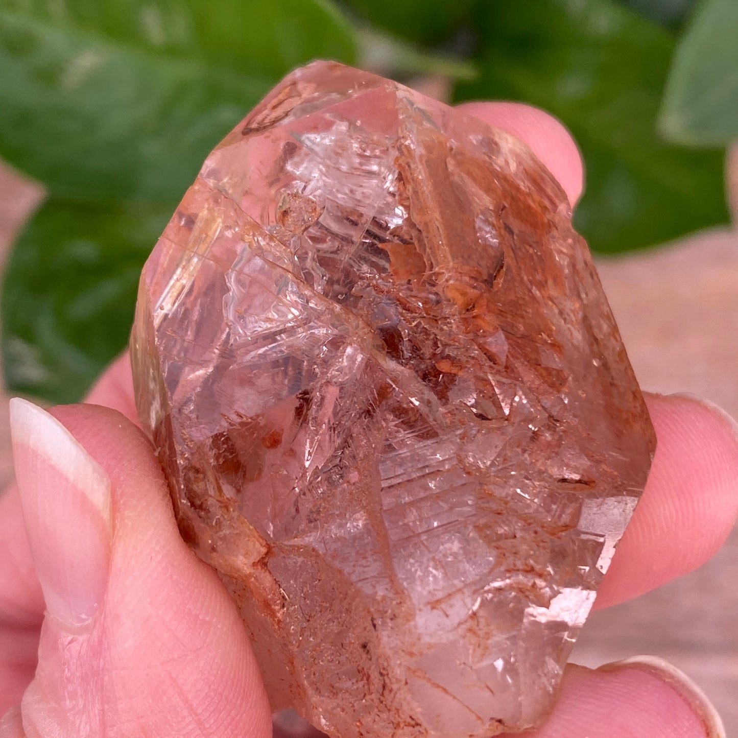 Window Quartz, Clay Included