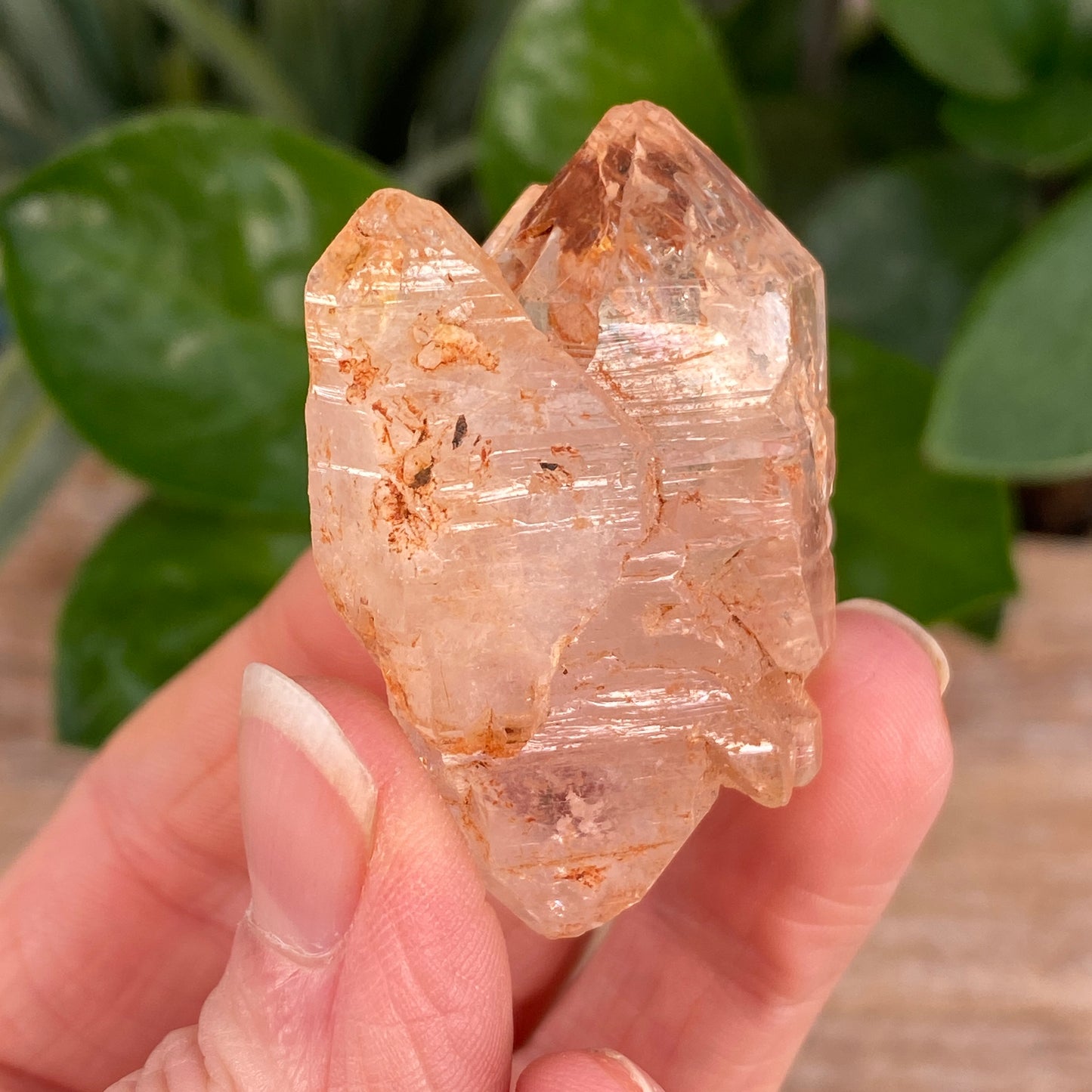 Window Quartz, Clay Included