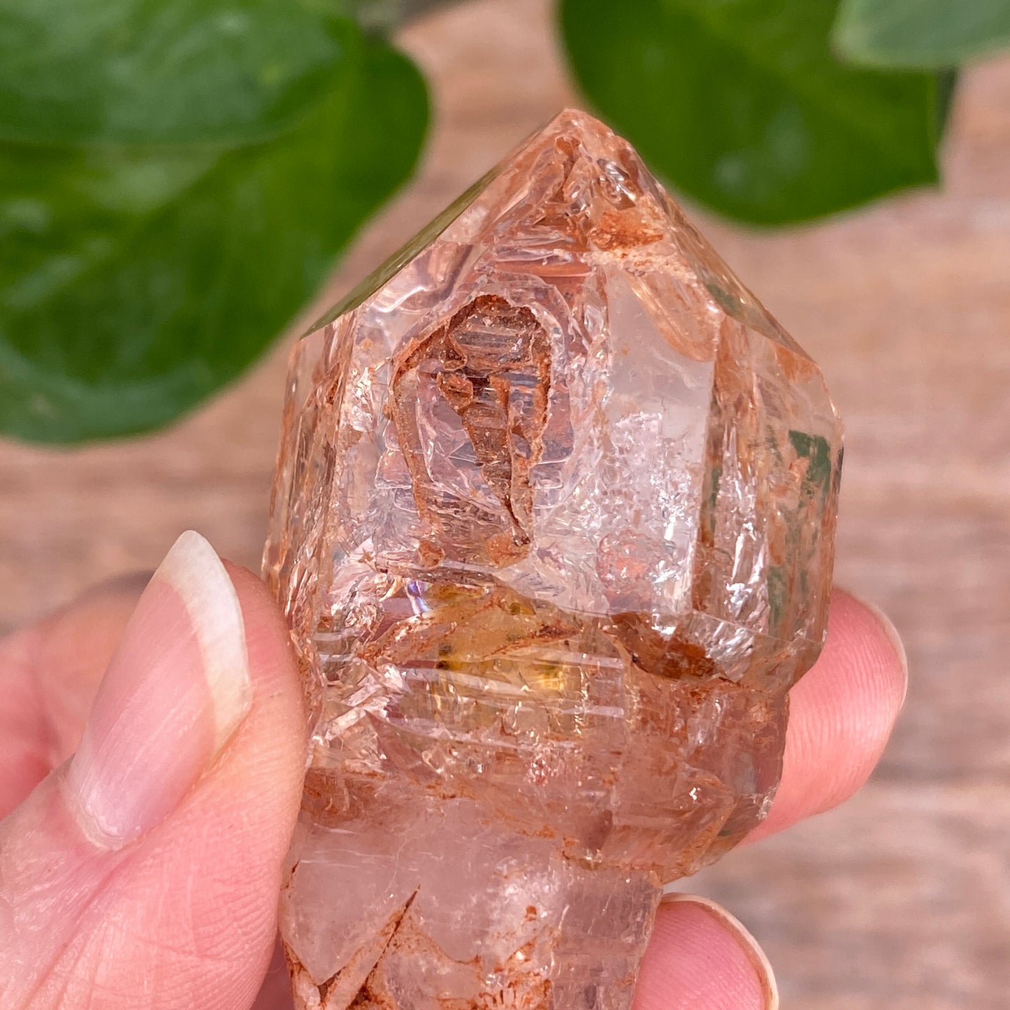 Window Quartz, Clay Included