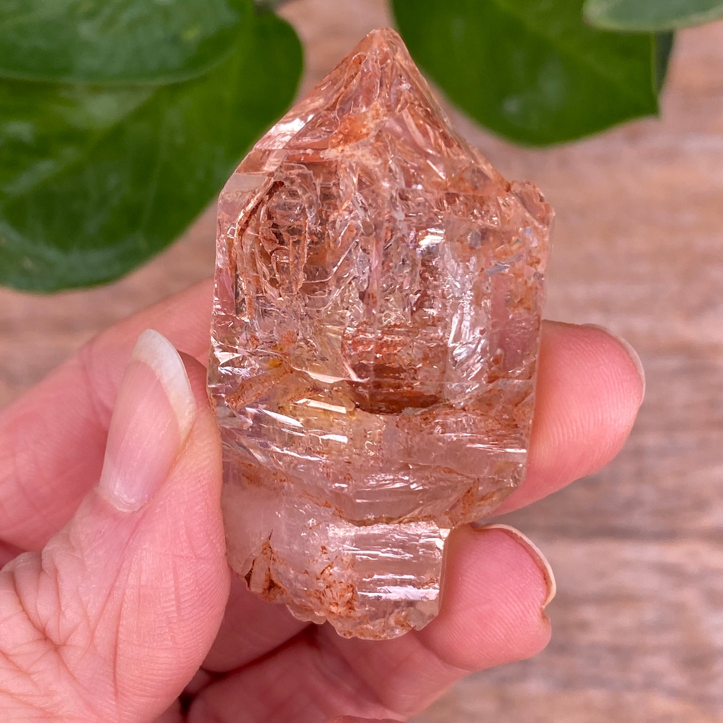 Window Quartz, Clay Included