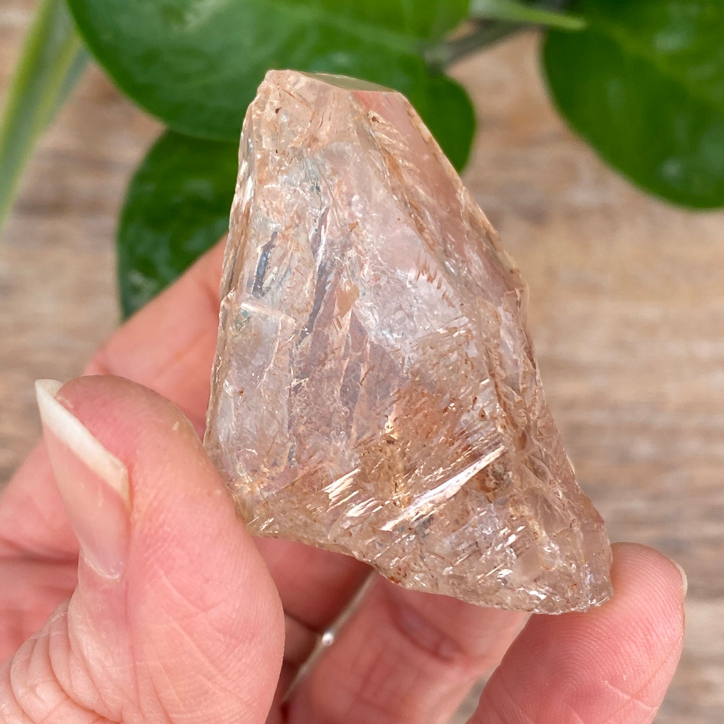 Window Quartz, Clay Included