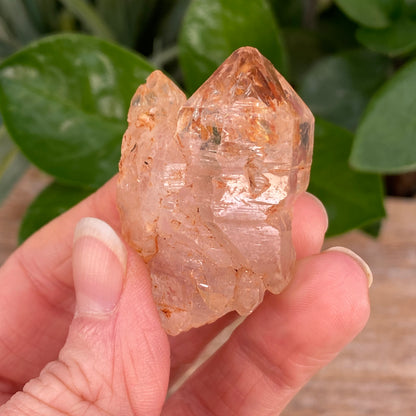Window Quartz, Clay Included