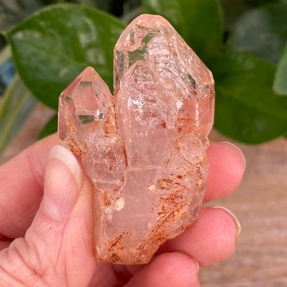 Window Quartz, Clay Included