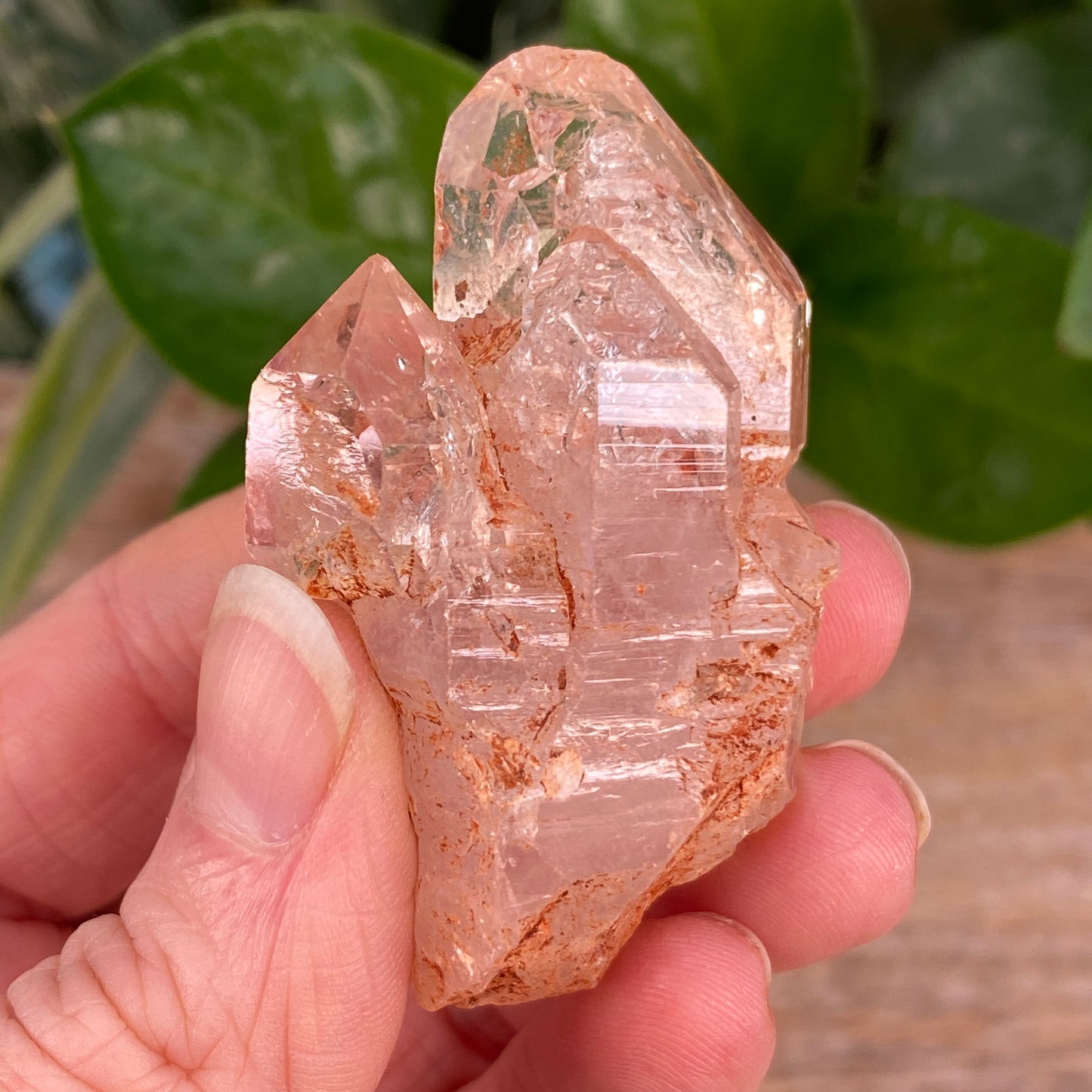Window Quartz, Clay Included