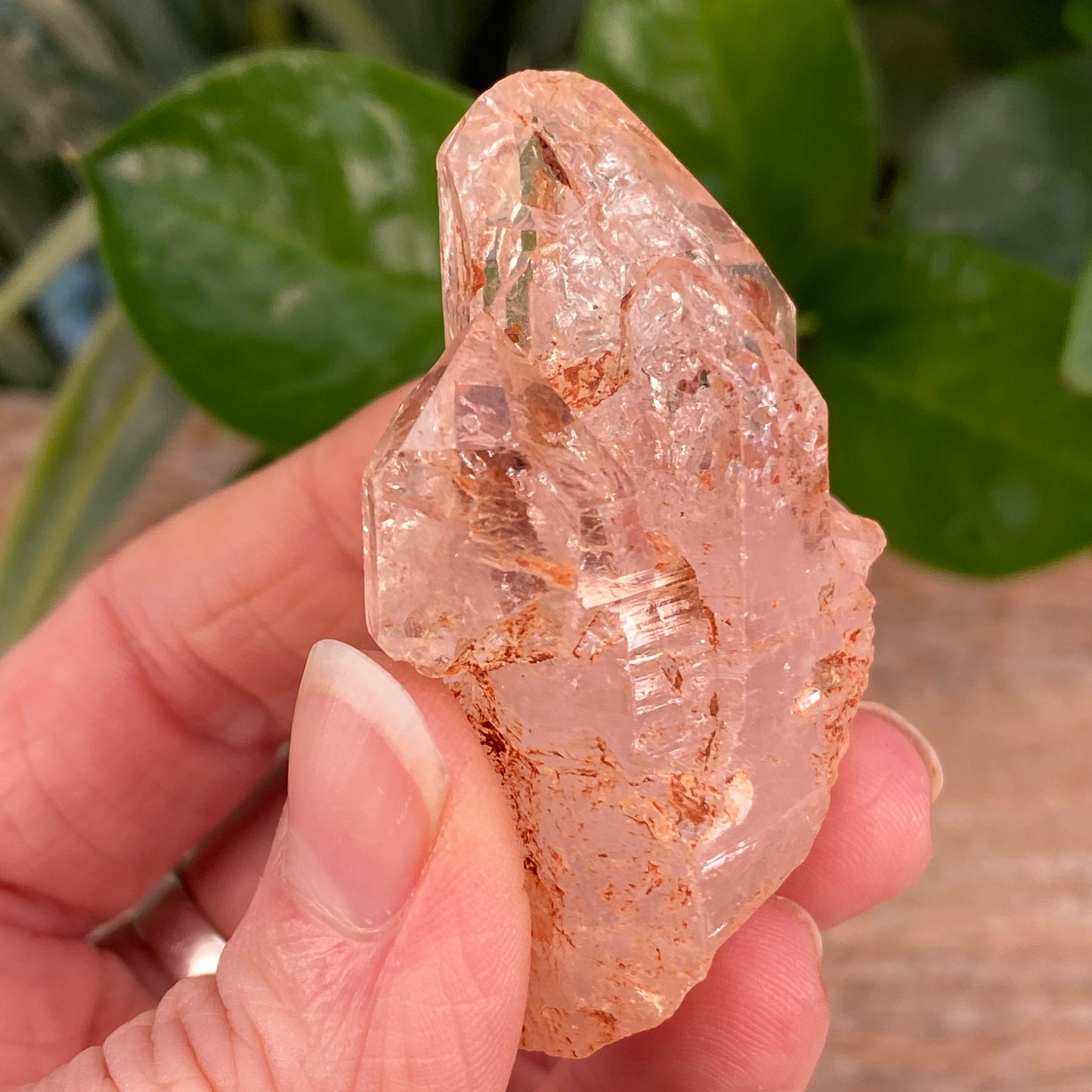 Window Quartz, Clay Included