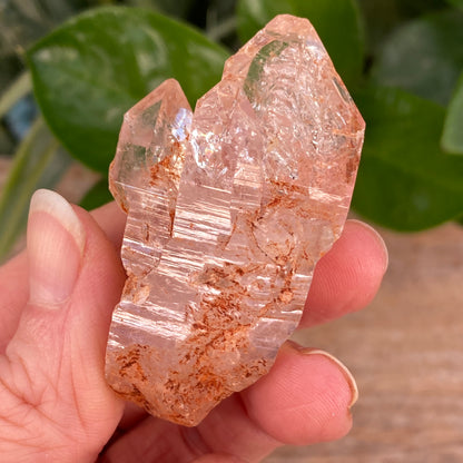 Window Quartz, Clay Included