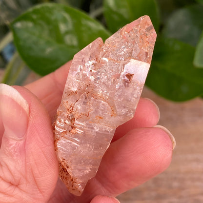 Window Quartz, Clay Included