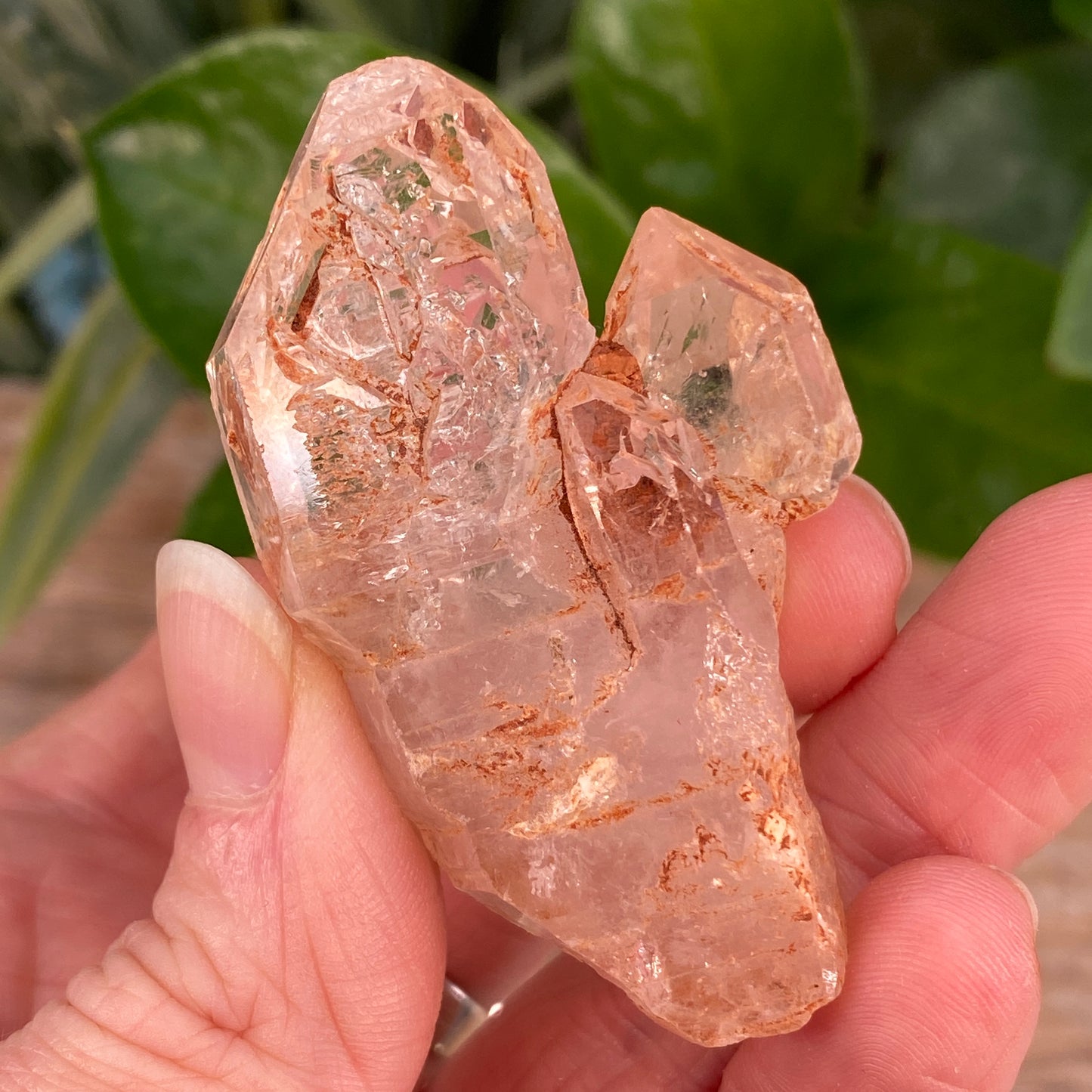 Window Quartz, Clay Included