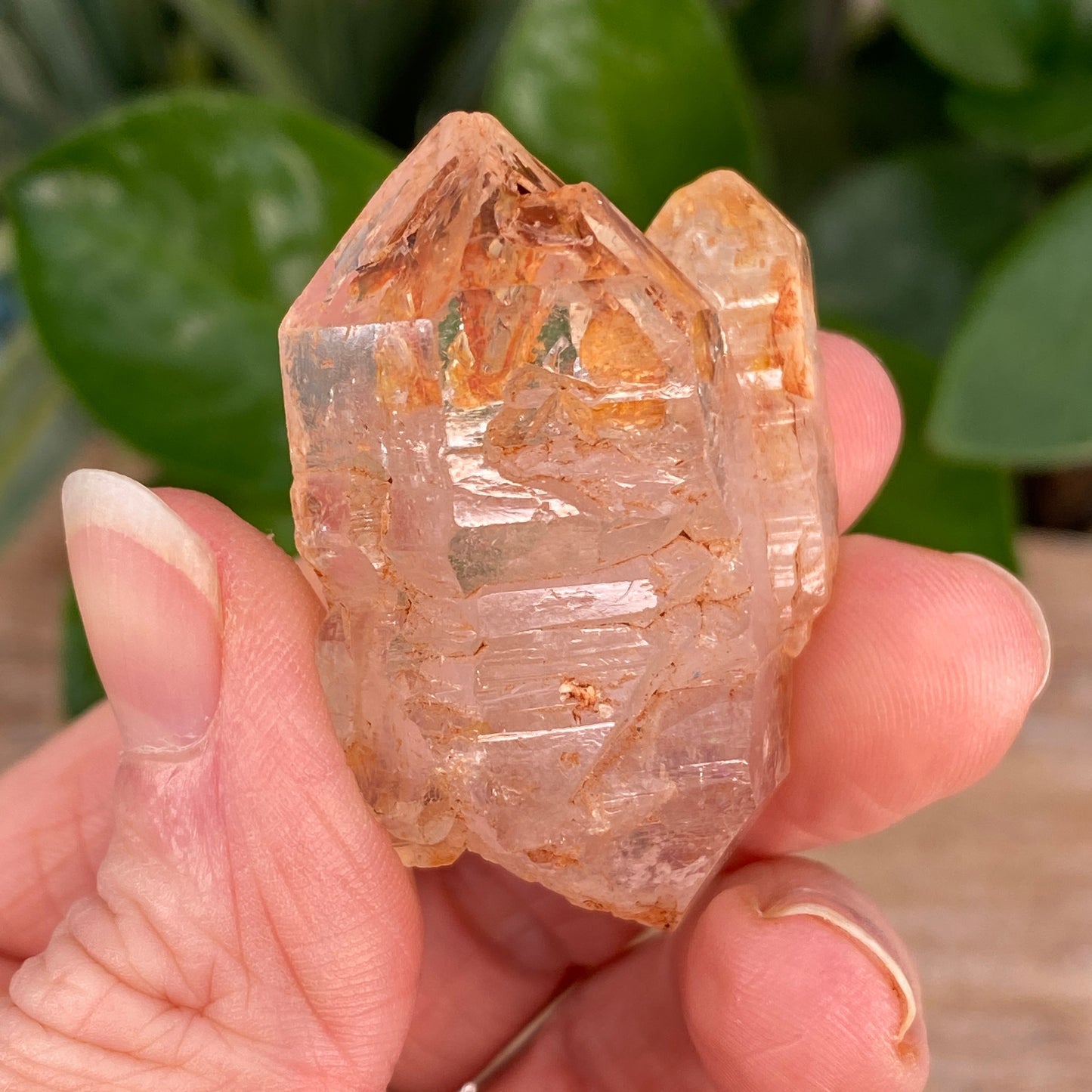 Window Quartz, Clay Included