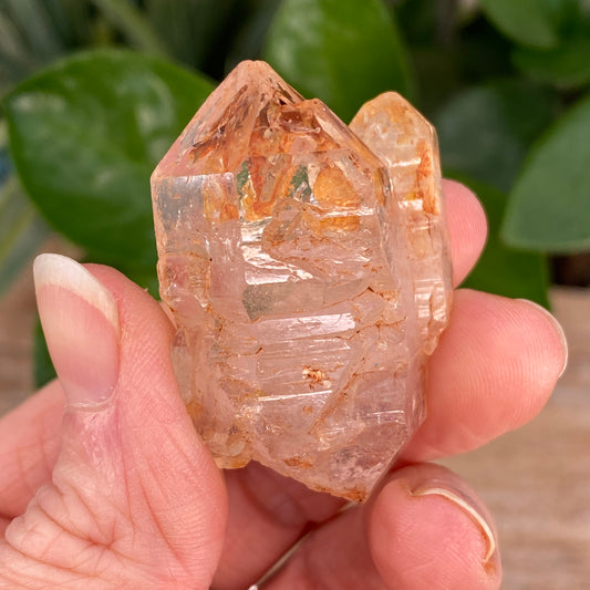 Window Quartz, Clay Included