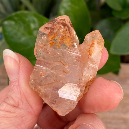 Window Quartz, Clay Included