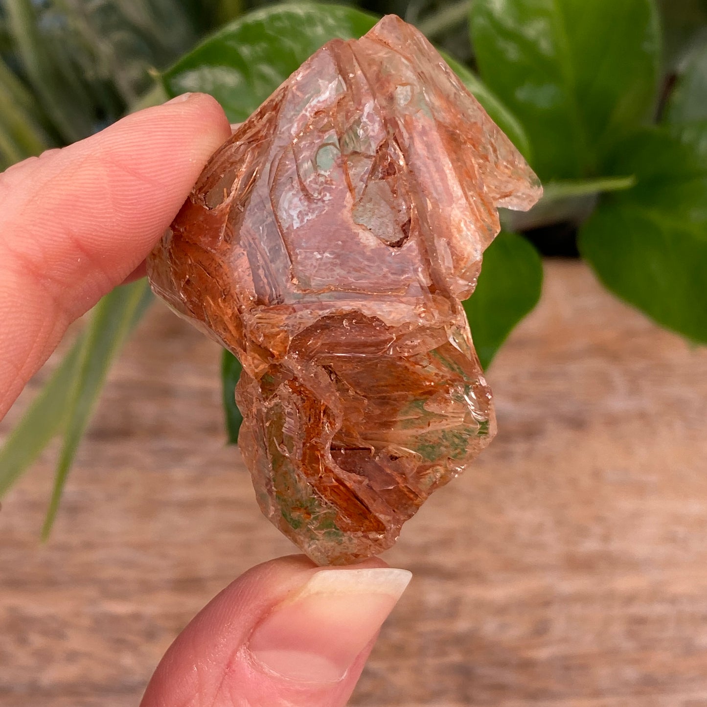 Window Quartz, Clay Included