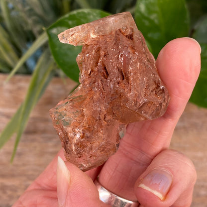 Window Quartz, Clay Included