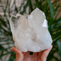XL Brazilian Quartz Cluster