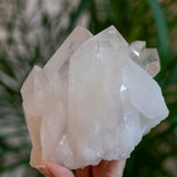 XL Brazilian Quartz Cluster