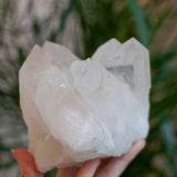 XL Brazilian Quartz Cluster
