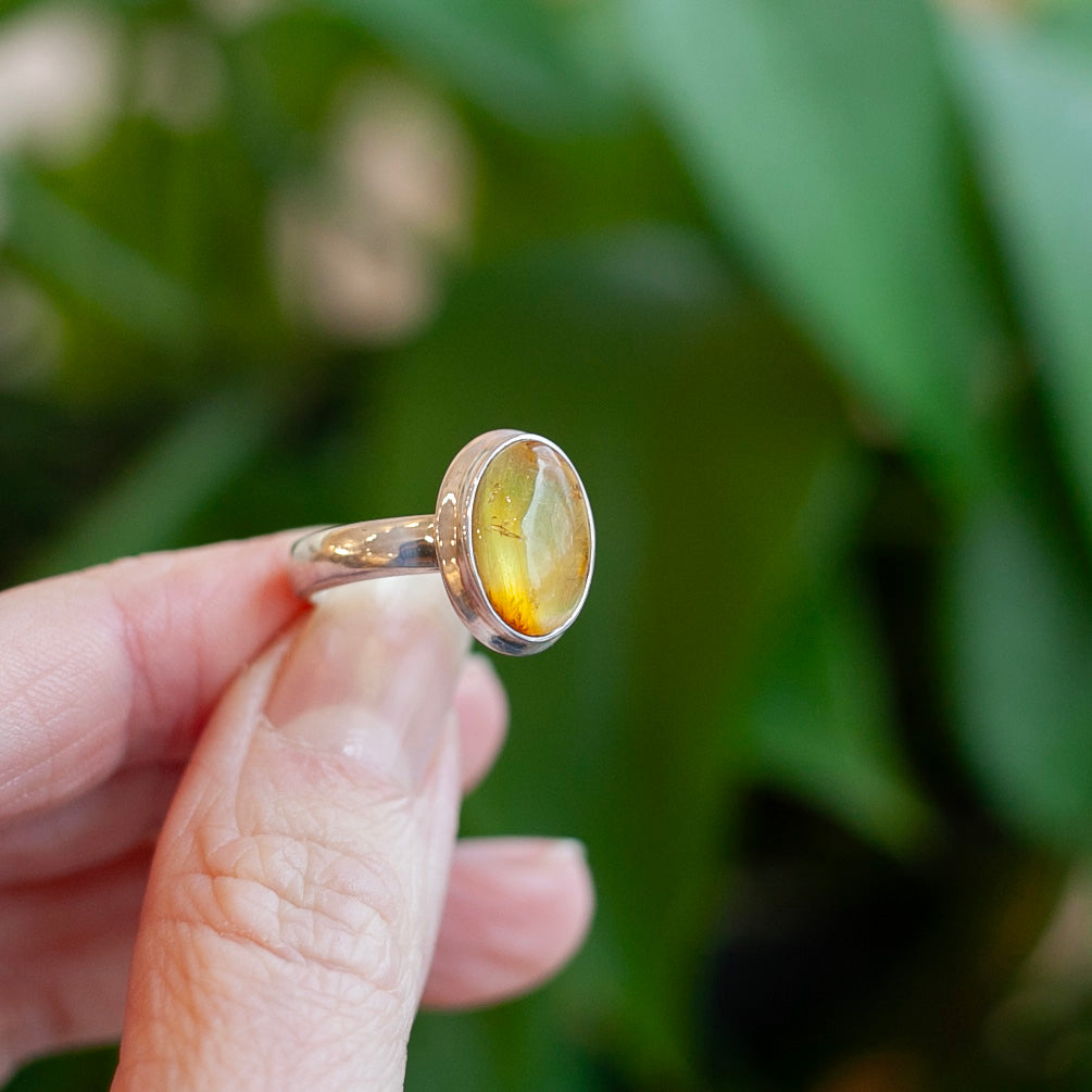 Baltic Amber Ring, Sterling Silver, Size 6.5