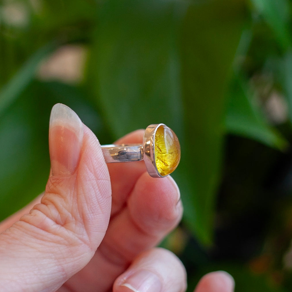 Baltic Amber Ring, Sterling Silver, Size 7