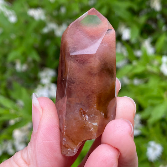 Amphibole Quartz Point