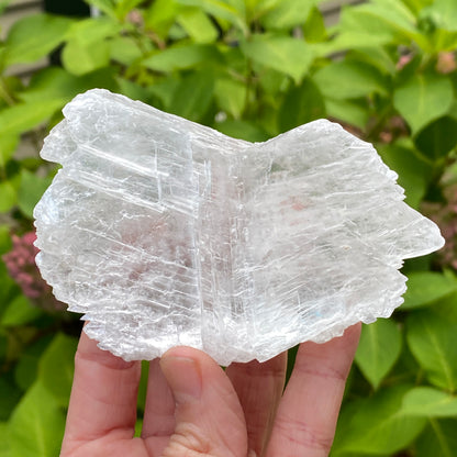 Angel Wing Selenite