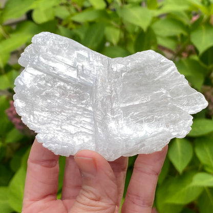 Angel Wing Selenite