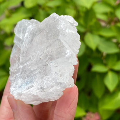 Angel Wing Selenite