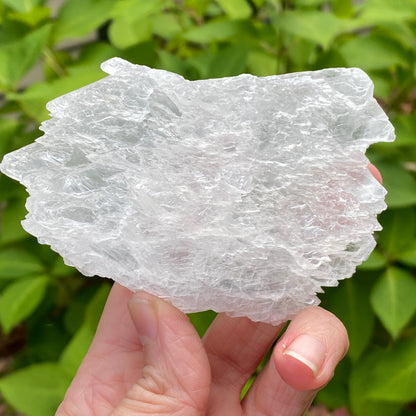 Angel Wing Selenite