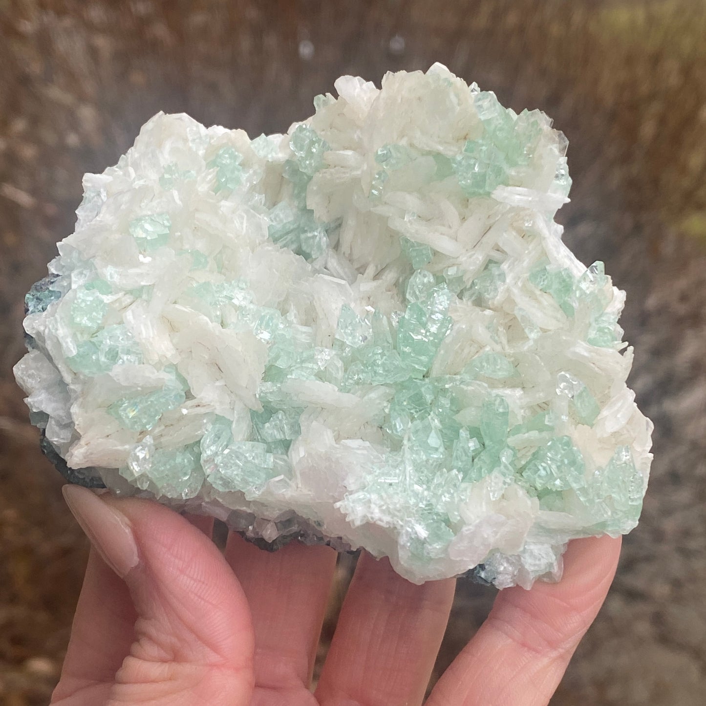 Mint Green Apophyllite on Stilbite