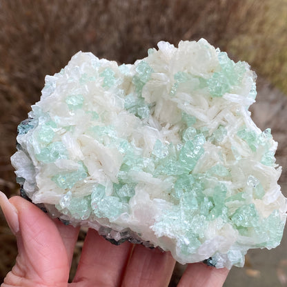 Mint Green Apophyllite on Stilbite