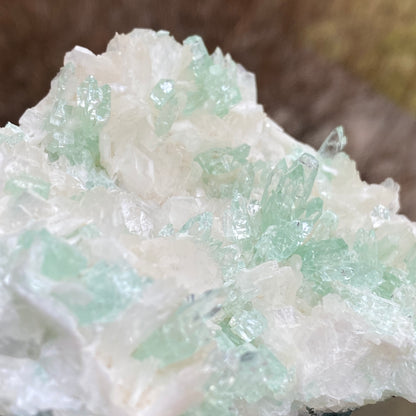 Mint Green Apophyllite on Stilbite