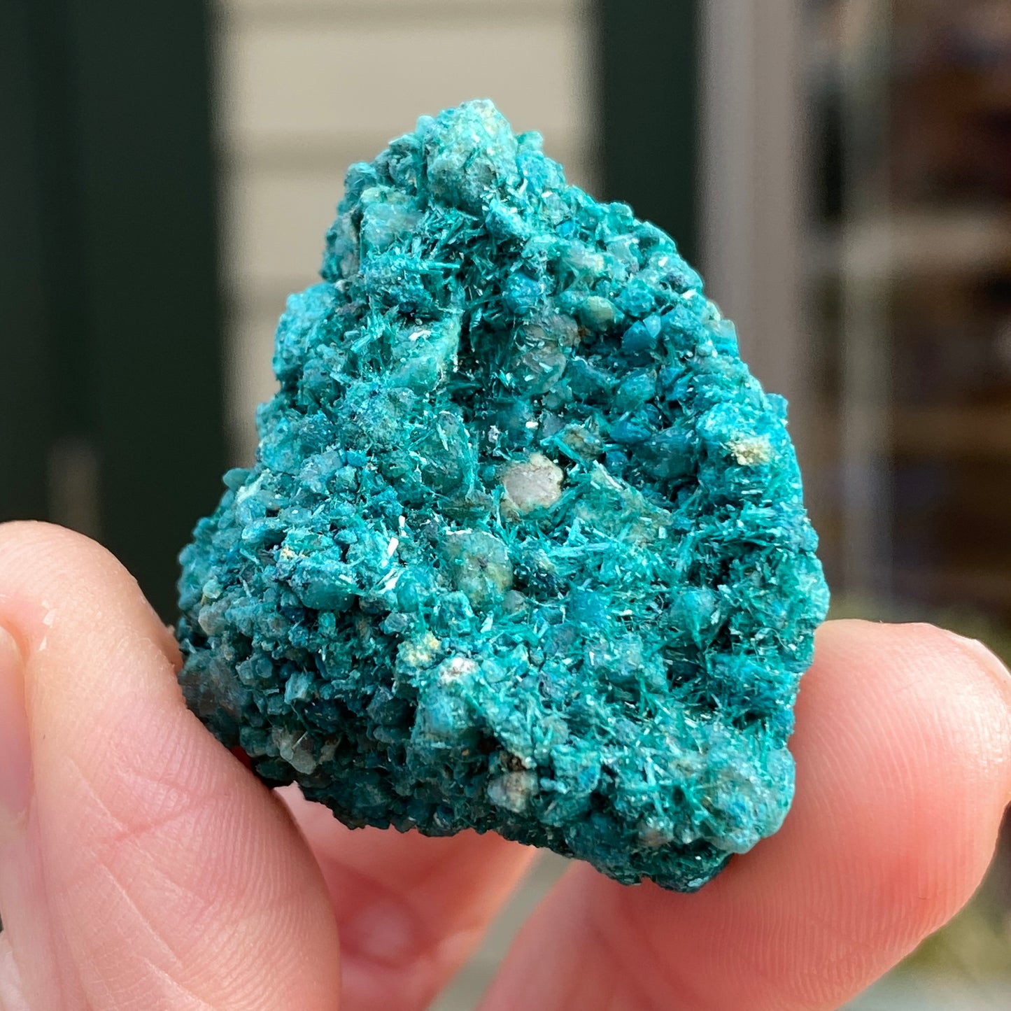 Botallackite, Cornwall England, Ultra Rare