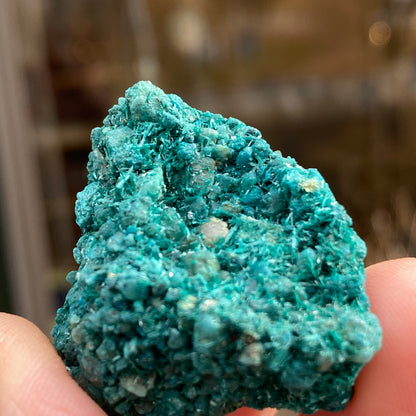 Botallackite, Cornwall England, Ultra Rare