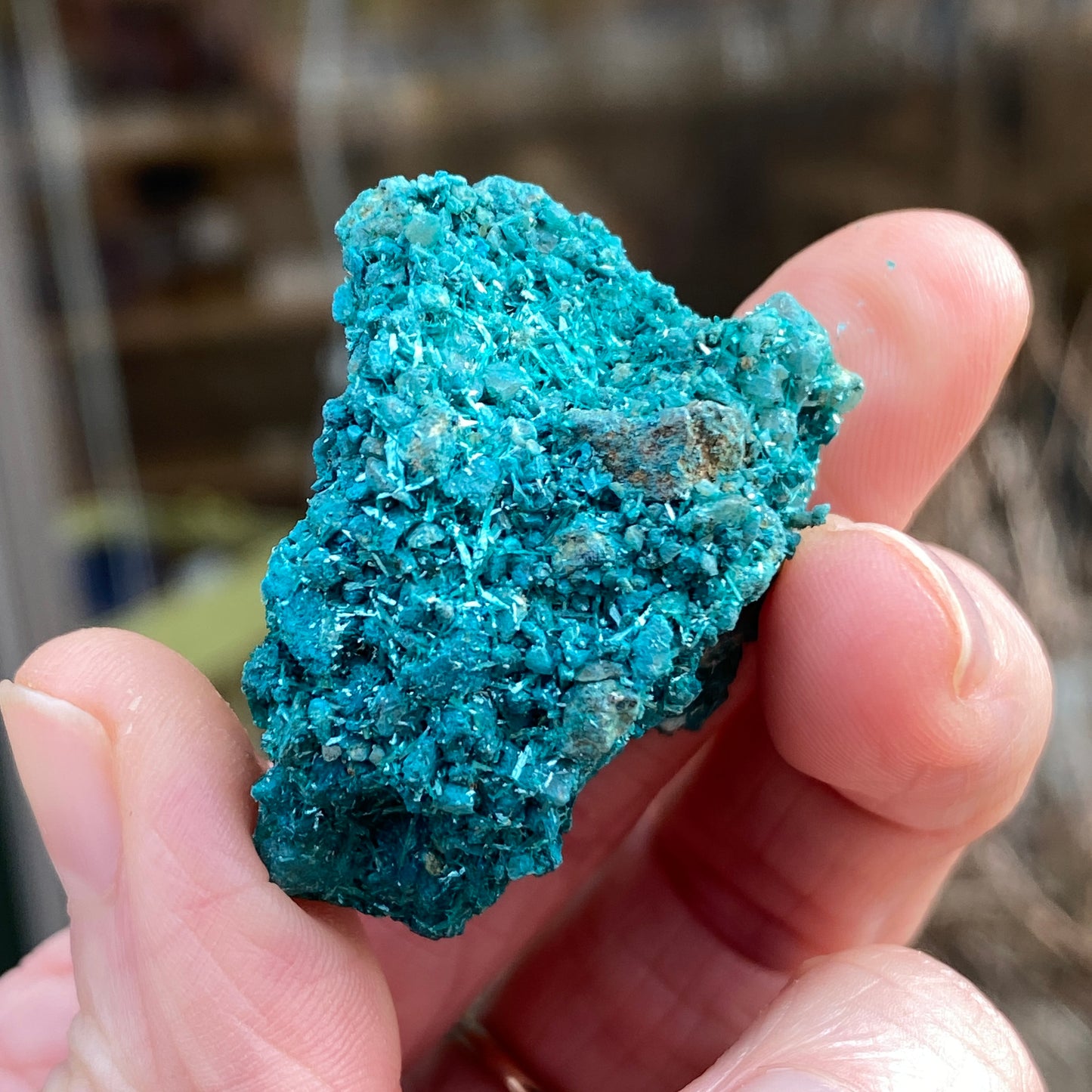 Botallackite, Cornwall England, Ultra Rare