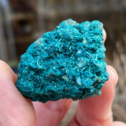 Botallackite, Cornwall England, Ultra Rare
