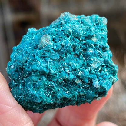 Botallackite, Cornwall England, Ultra Rare