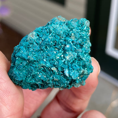 Botallackite, Cornwall England, Ultra Rare