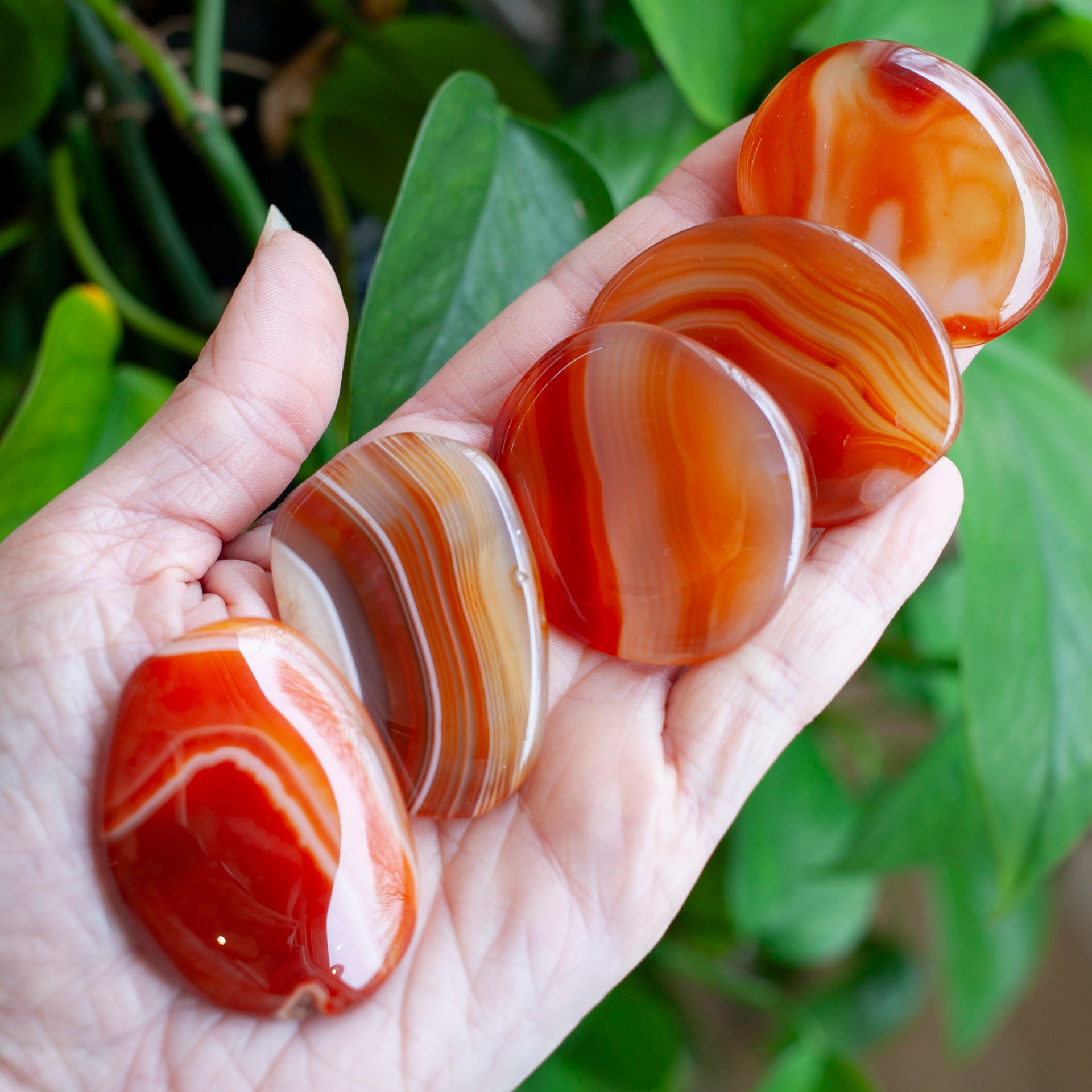 Carnelian Worry Stone