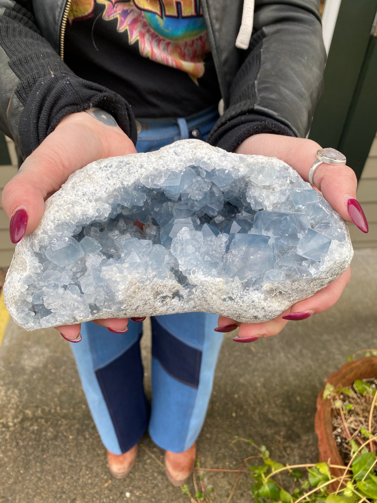 Celestite Geode, 5.5lb