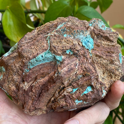 Large Drusy Chrysocolla, DRC