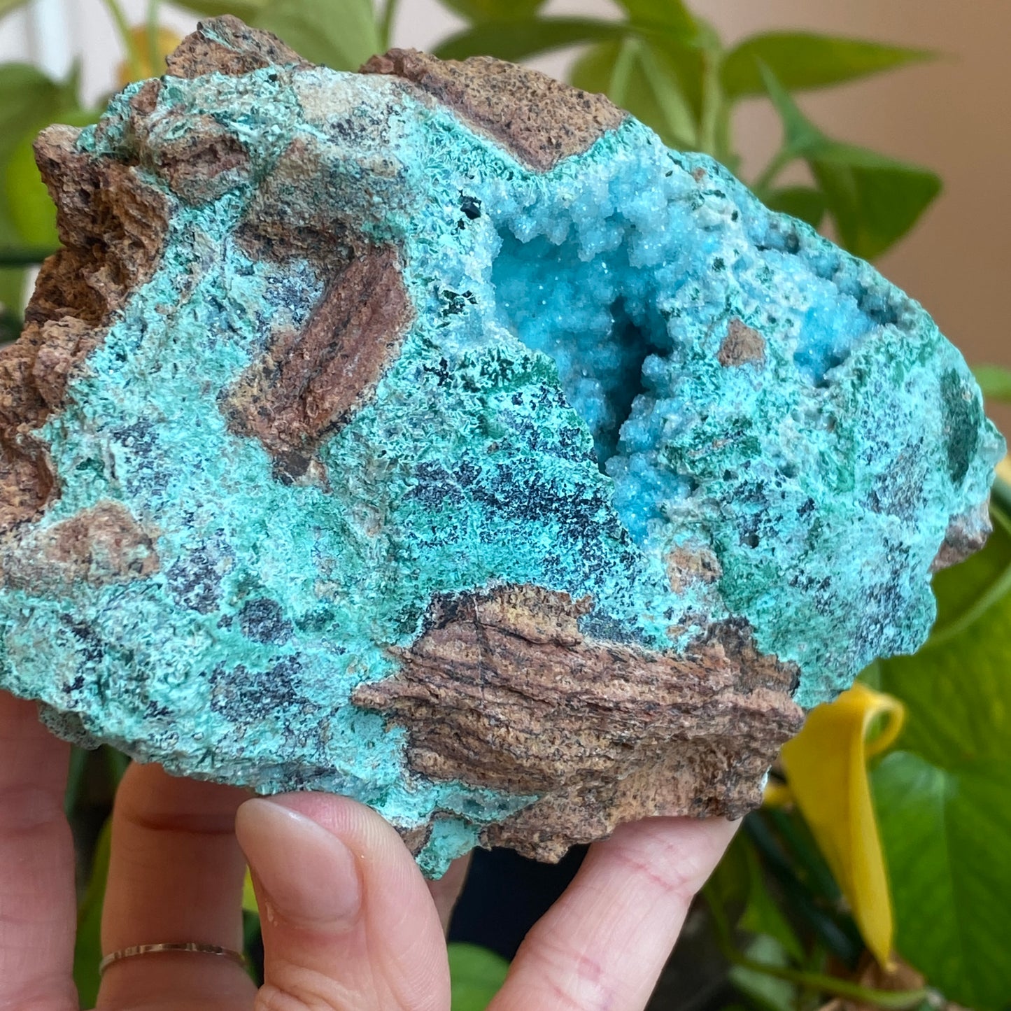 Large Drusy Chrysocolla, DRC