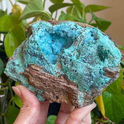 Large Drusy Chrysocolla, DRC