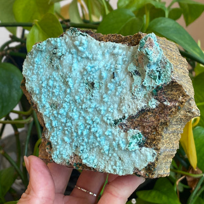 Large Drusy Chrysocolla, DRC