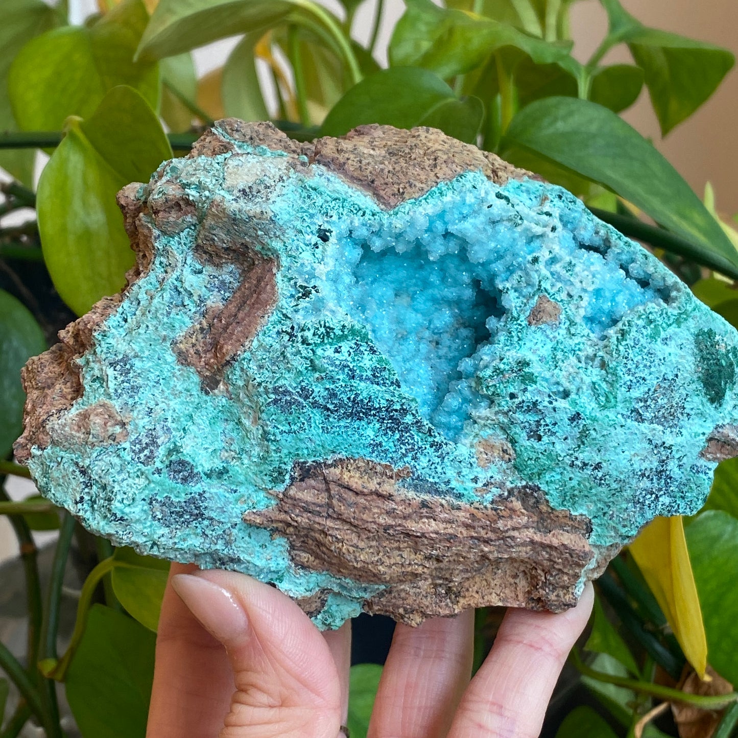 Large Drusy Chrysocolla, DRC