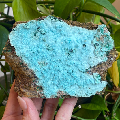 Large Drusy Chrysocolla, DRC