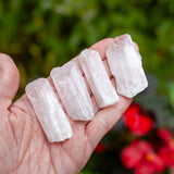 Danburite Crystal