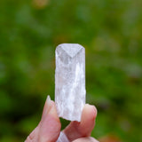 Danburite Crystal