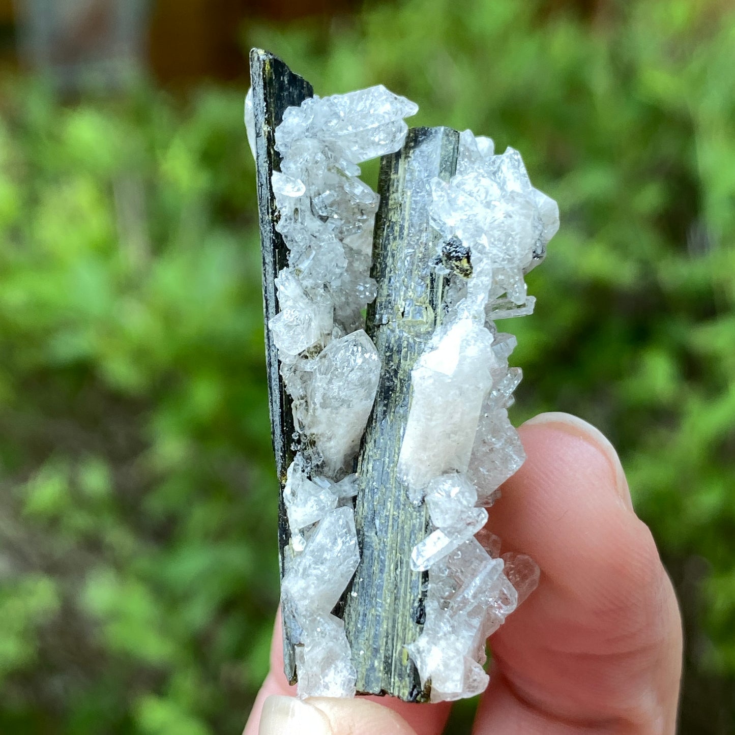 Epidote in Quartz, Peru