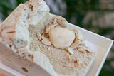 3D Fossilized Crab in Habitat from Southwest Turkey, Rare