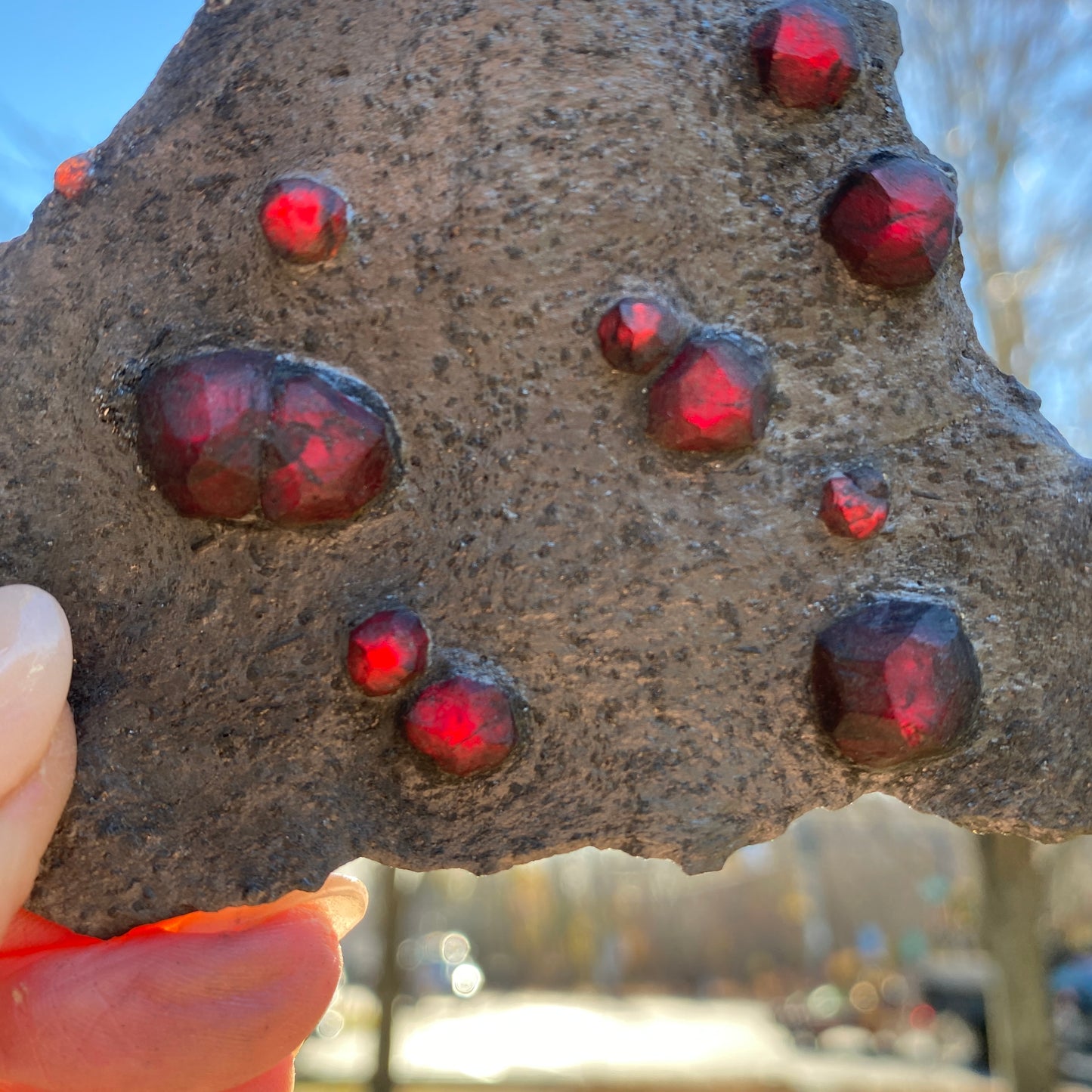 Garnet in Graphite Specimen from Massachusetts, Single Mine Material