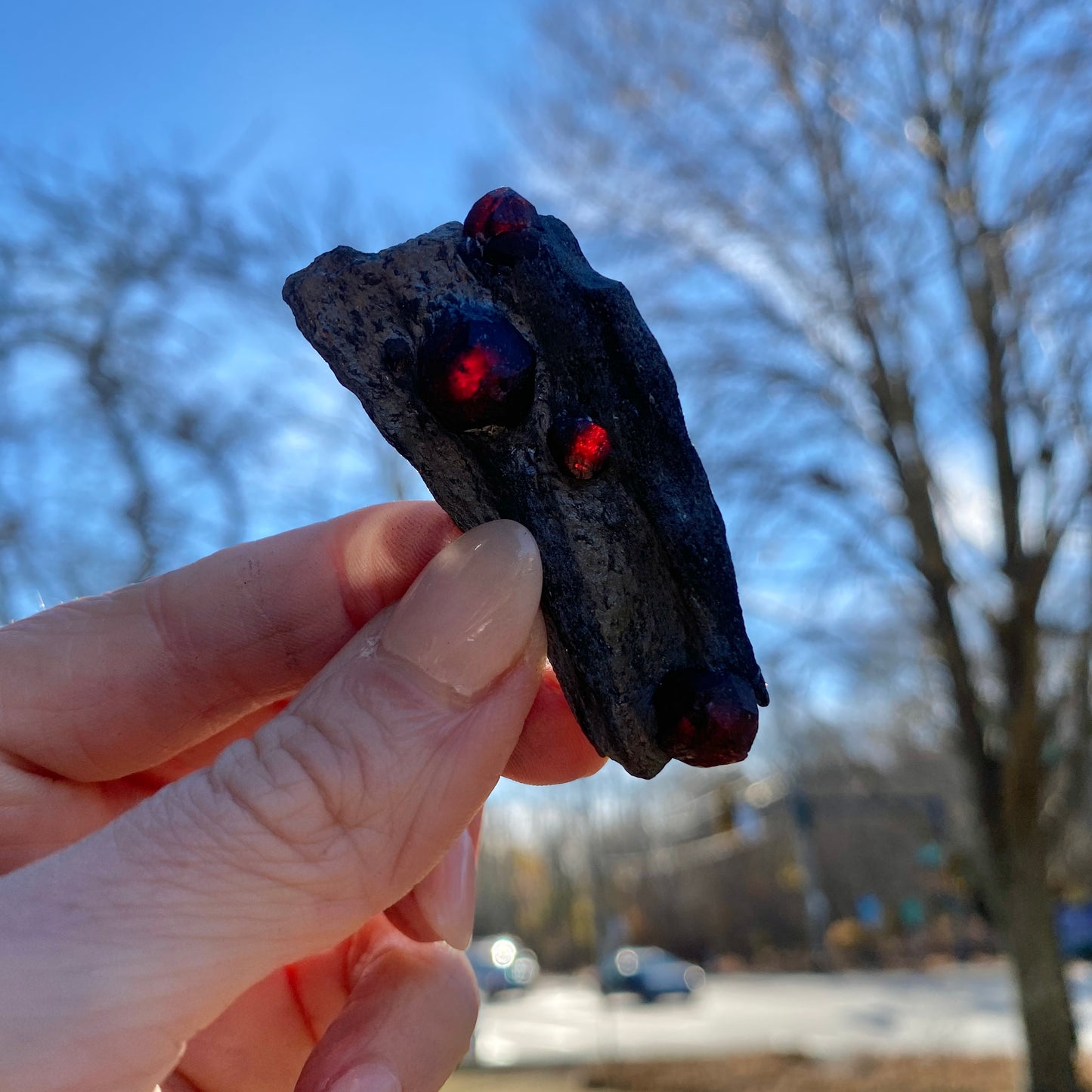 Garnet in Graphite Specimen from Massachusetts, Single Mine Material